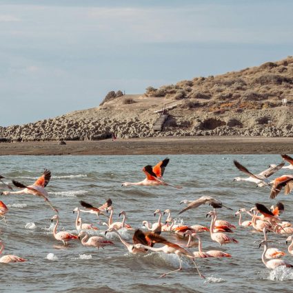 pexels-emareynares-18127104