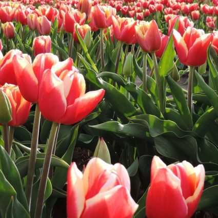 y3xZ7Rj60_1256x620__1